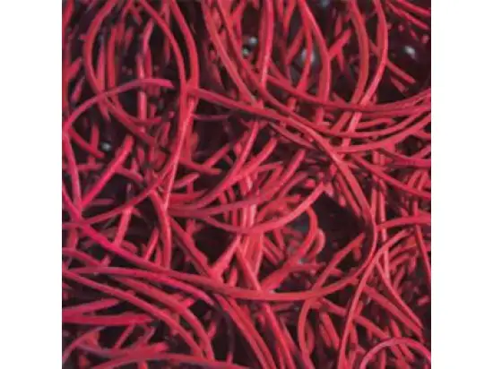 Gummiringe 176030030 65 mm, rot, Pack 50g
