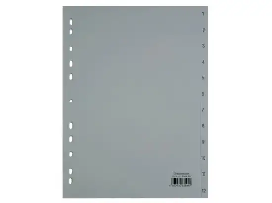 Zahlen-Register Soennecken 121056680 1529 A4 Zahlen 1-12 Kunststoff (PP), grau