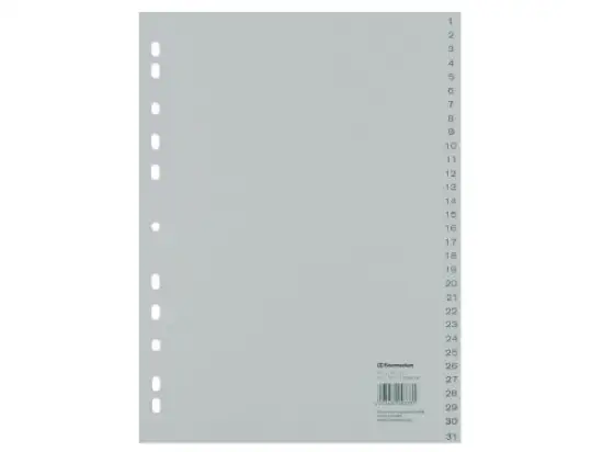 Zahlen-Register Soennecken 121056700 1525 A4 Zahlen 1-31 Kunststoff (PP), grau