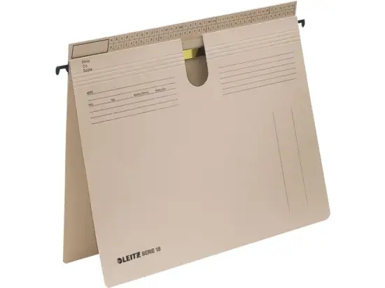 Hängehefter Leitz 1814-00-85 18140085 Serie 18 Karton 250g, kaufmännische Heftung + Amtsheftung, grau, Pack 50 Stk