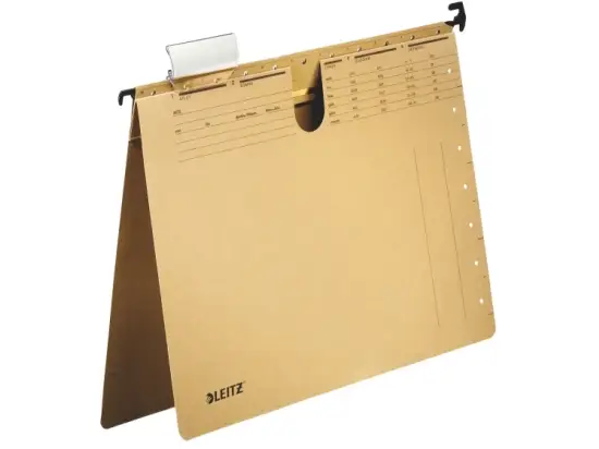 Hängehefter Leitz 2994-00-00 29940000 Alpha-Duo Karton 250g, Amtsheftung, Sichtreiter, naturbraun