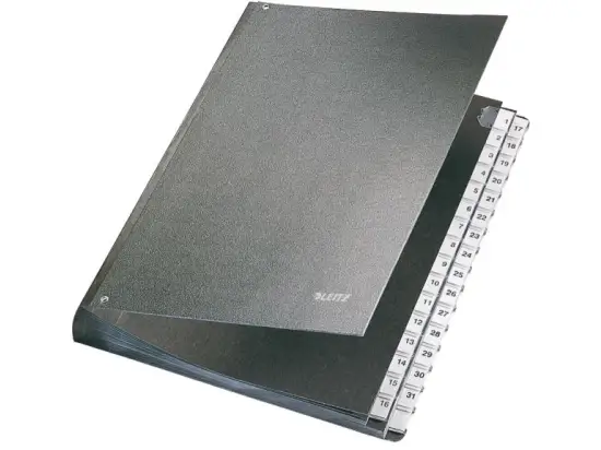 Pultordner Leitz 5831-00-95 58310095 A4, 32 Fächer, 1-31, Hartpappe, Kunststoff-Tabe, schwarz