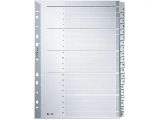 Zahlen-Register Leitz 4326-00-00 43260000 A4 Zahlen 1-20 Karton/Pappe grau