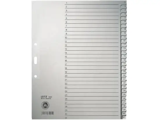 Zahlen-Register Leitz 1231-00-85 12310085 A4 Zahlen 1-31 Papier grau Überbreite 240x300mm