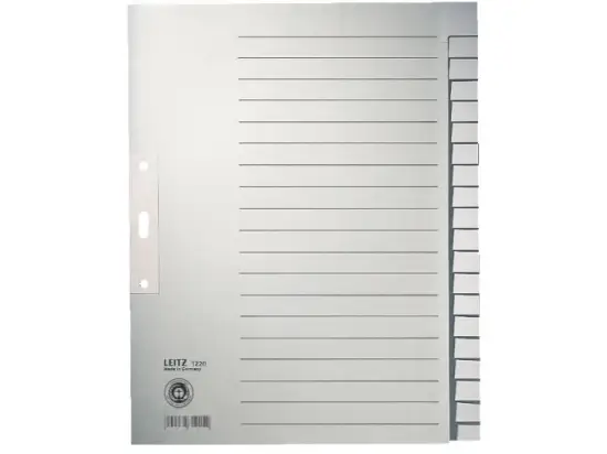 Blanko-Register Leitz 1220-00-85 12200085 A4, 20-teilig, blanko, Papier, grau, Tabs verstärkt