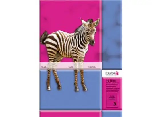 Schulheft Landre 100050032 A4/43 3.Schuljahr/pro-Aqua 16 Blatt, Pack 10 Stk