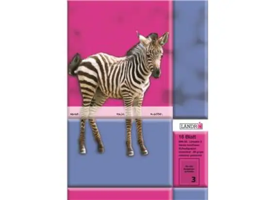 Schulheft Landre 100050069 A5/3 3.Schuljahr/liniert/ pro-Aqua 16 Blatt, Pack 10 Stk