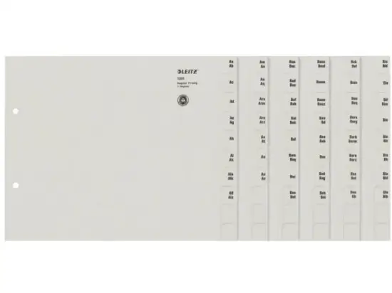 Registerserie Leitz 1351-00-85 13510085 für A4, Buchstaben A-Z, 75-teilig, Tauenpapier, grau