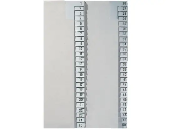 Registerserie Leitz 1381-00-85 13810085 für A4, Zahlen 1-25, halbe Höhe, Tauenpapier, grau