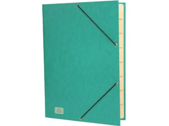 Ordnungsmappe RNK 4616-5 A4, 9-Fächer, Glanzkarton-Einband, Gummizug, grün