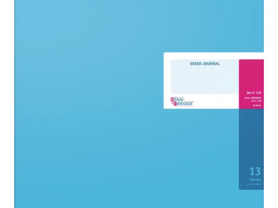 Vario-Journal König & Ebhardt 86-17139 8617139 mit Kopfleiste, 348x255 mm, 96 Seiten, Konten-Journal, Karton, magenta/hellblau