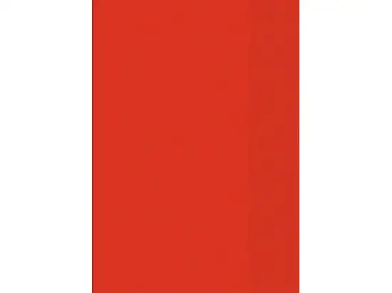 Heftschoner Brunnen 10-4050420 104050420 A4 rot-transparent, Pack 25 Stk