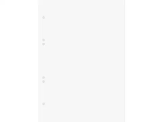 Ringbucheinlage Brunnen 10-66300 1066300 A5, blanko, Pack 10 x 50 Blatt