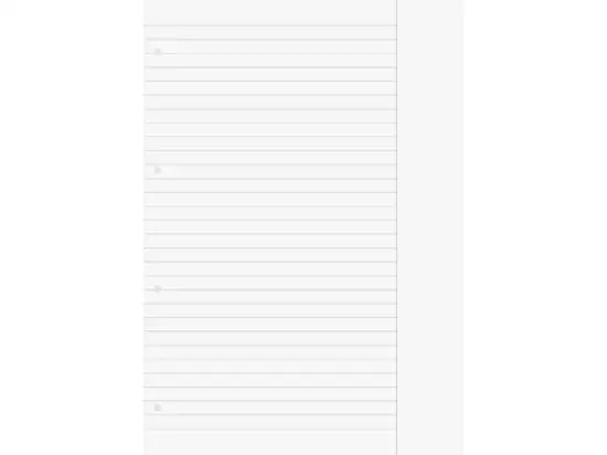 Ringbucheinlage Brunnen 10-66917 1066917 A4, liniert, mit Rand (einseitig), Pack 10 x 50 Blatt