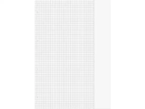 Ringbucheinlage Brunnen 10-66918 1066918 A4, kariert, mit Rand (einseitig), 4fach Lochung, Pack 10 x 50 Blatt
