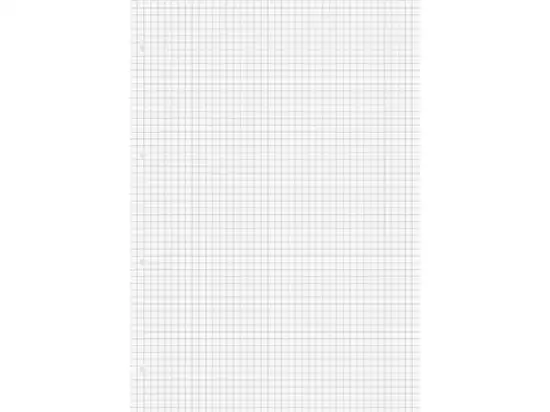 Ringbucheinlage Brunnen 10-66928 1066928 A4, kariert, mit Rand (beidseitig), Pack 10 x 50 Blatt