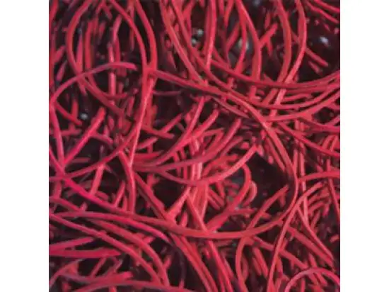 Gummiringe 176030630 85 mm, rot, Pack 1000g