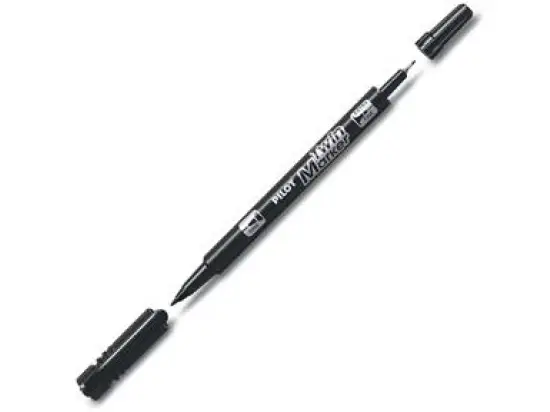 Filzschreiber Pilot SCA-TM-B-BG 4045701 Twin Marker Begreen, SCA-TM-BG mit 2 Spitzen, permanent, Schreibfarbe:schwarz