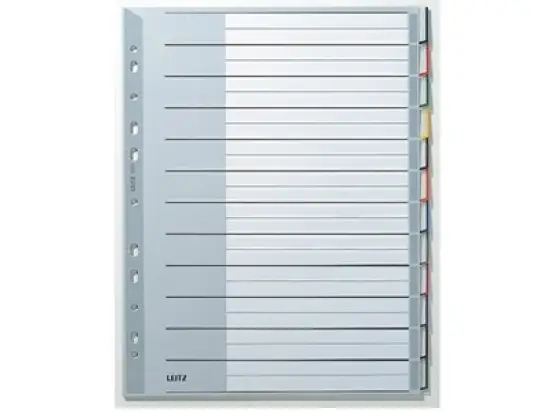 Blanko-Register Leitz 1273-00-00 12730000 A4+, überbreit, Kunststoff (PP), 12-teilig, Tabs blanko, grau, Pack 10 Stk