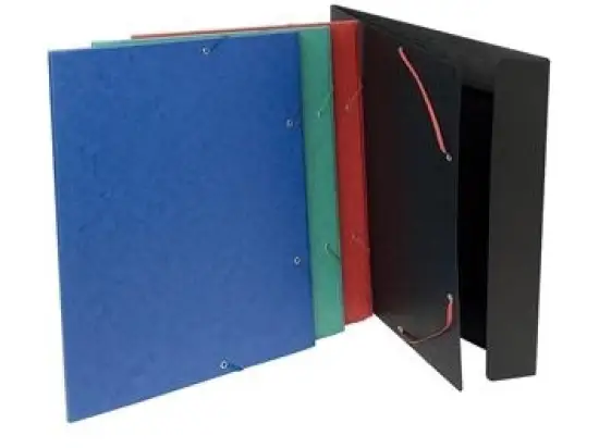 Sammelmappe Exacompta 59515E A3 grün Manilakarton