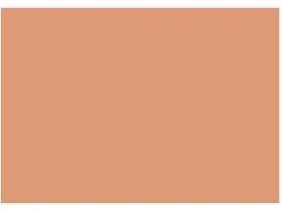 Karteikarten Brunnen 10-2250040 102250040 A5 blanko orange, Pack 100 Stk