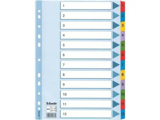 Zahlen-Register Esselte 100162 A4 1-12 A4 Mylarkarton mit farbigen verstärkten Taben