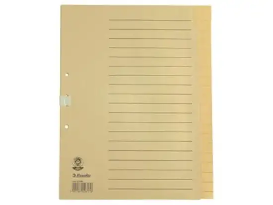 Blanko-Register Esselte 621006 blanko A4 20 Blatt chamois