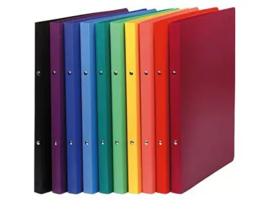 Ringbuch Exacompta 54199E A4 farbig sortiert 2Ringe-15mm PP blickdicht Rücken: 20mm, Pack 20 Stk