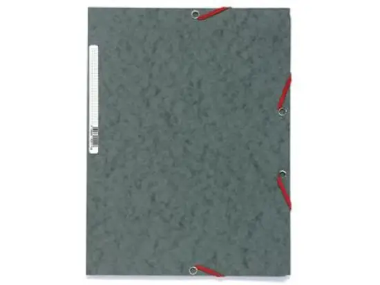 Sammelmappe Exacompta 55511E A4 Manila grau