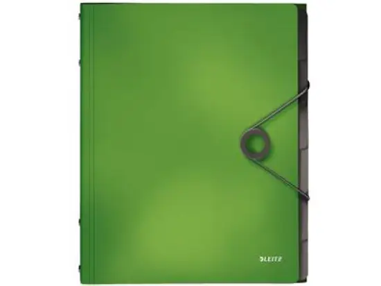 Ordnungsmappe Leitz 4569-10-50 45691050 Solid 6-Fächer A4 hellgrün PP, Pack 4 Stk