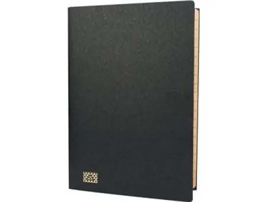 Ordnungsmappe RNK 4618-9 A4, 20-Fächer, Glanzkarton-Einband, Gummizug, schwarz