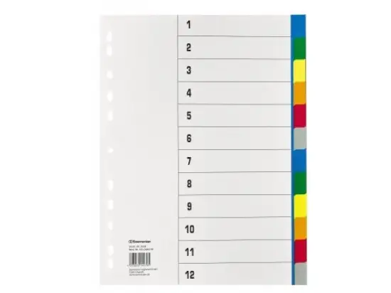 Register Soennecken 121248499 1532 A4 12-teilig blanko farbige Taben PP
