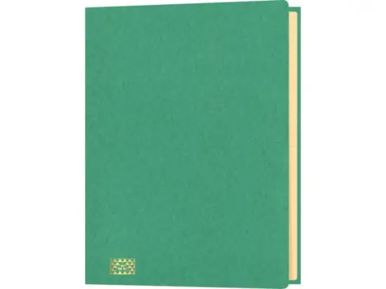 Ordnungsmappe RNK 4618-5 A4, 20-Fächer, Glanzkarton-Einband, Gummizug, grün