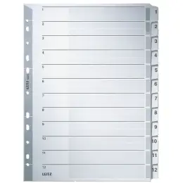 Zahlen-Register Leitz 4325-00-00 43250000 A4 Zahlen 1-12 Karton/Pappe grau