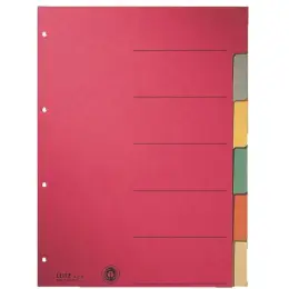 Blanko-Register Leitz 4358-00-00 43580000 A4 6-teilig Karton/Pappe farbige Taben aus extrastarkem Karton