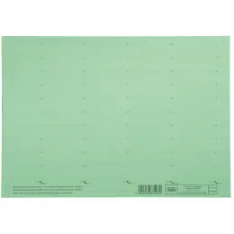 Beschriftungsschild Elba 100420976 83582GN 58x18mm, 4-zeilig, Karton 160g, grün, Pack 10 x Bogen je 50 Stk