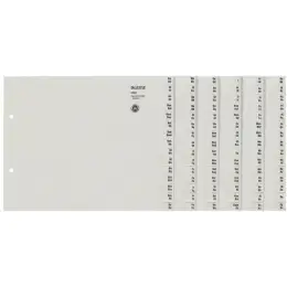 Registerserie Leitz 1308-00-85 13080085 für A4, Buchstaben A-Z, 8-teilig, Tauenpapier, grau