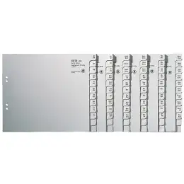 Registerserie Leitz 1350-00-85 13500085 für A4, Buchstaben A-Z, 50-teilig, Tauenpapier, grau