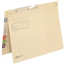 Pendelhefter Leitz 2139-00-11 21390011 Orgacolor A4, Kraftkarton 260g, Amtsheftung, Schnellheftmechanik, chamois