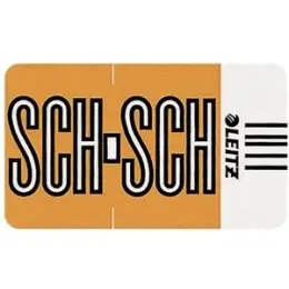 Buchstabensignale auf Rolle Leitz 6636-10-00 66361000 Orgacolor Aufdruck: SCH, hellbraun, Rolle 250 Stk