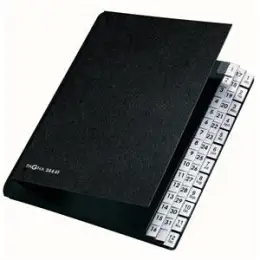 Pultordner Pagna 24441-04 A4, 44 Fächer, 1-31 und 1-12/Jan-Dez, Hartpappe, PP-Tabe, schwarz