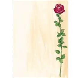 Motiv-Papier Sigel DP695 A4, 90g, Rose Bloom, Inkjet Laser Kopierer, Pack 25 Blatt