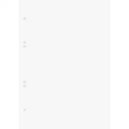 Ringbucheinlage Brunnen 10-66300 1066300 A5, blanko, Pack 10 x 50 Blatt