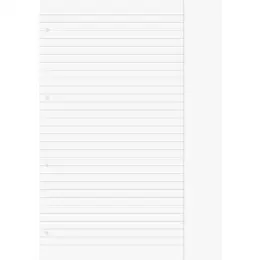 Ringbucheinlage Brunnen 10-66917 1066917 A4, liniert, mit Rand (einseitig), Pack 10 x 50 Blatt