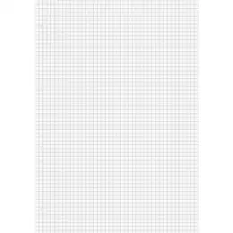 Ringbucheinlage Brunnen 10-66928 1066928 A4, kariert, mit Rand (beidseitig), Pack 10 x 50 Blatt