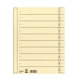 Trennblatt Esselte 621017 A4 chamois verstärkt, Pack 100 Stk