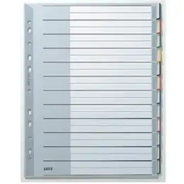 Blanko-Register Leitz 1273-00-00 12730000 A4+, überbreit, Kunststoff (PP), 12-teilig, Tabs blanko, grau, Pack 10 Stk