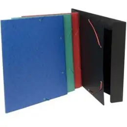 Sammelmappe Exacompta 59515E A3 grün Manilakarton