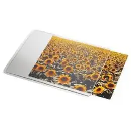 Mausunterlage Esselte 67691 Personal 190x240x2mm, weiß, mit Einschubmöglichkeit für Fotos
