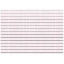 Karteikarten Brunnen 10-2270220 102270220 A7 kariert rot, Pack 100 Stk